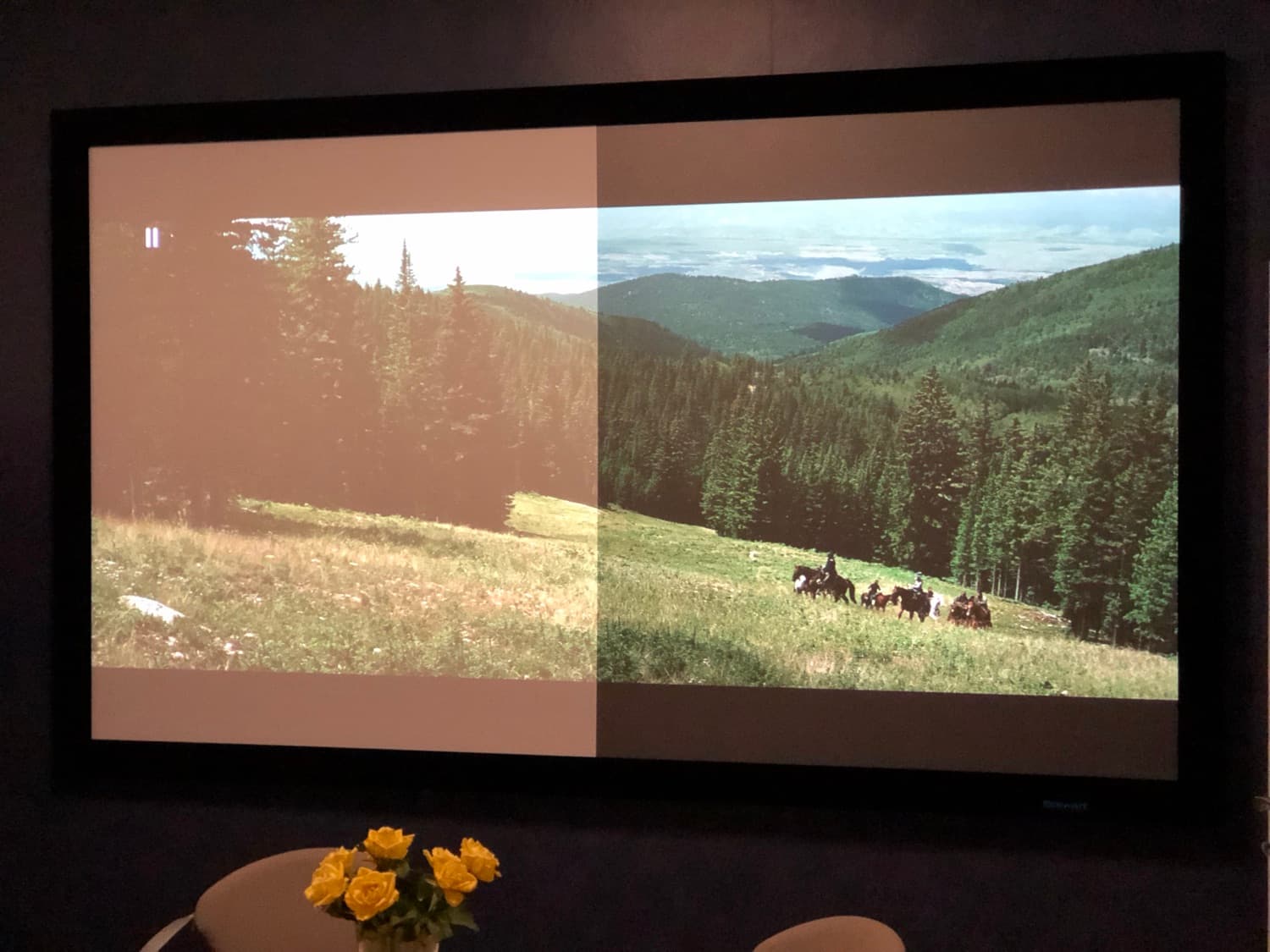 Projiziertes Bild auf der Leinwand